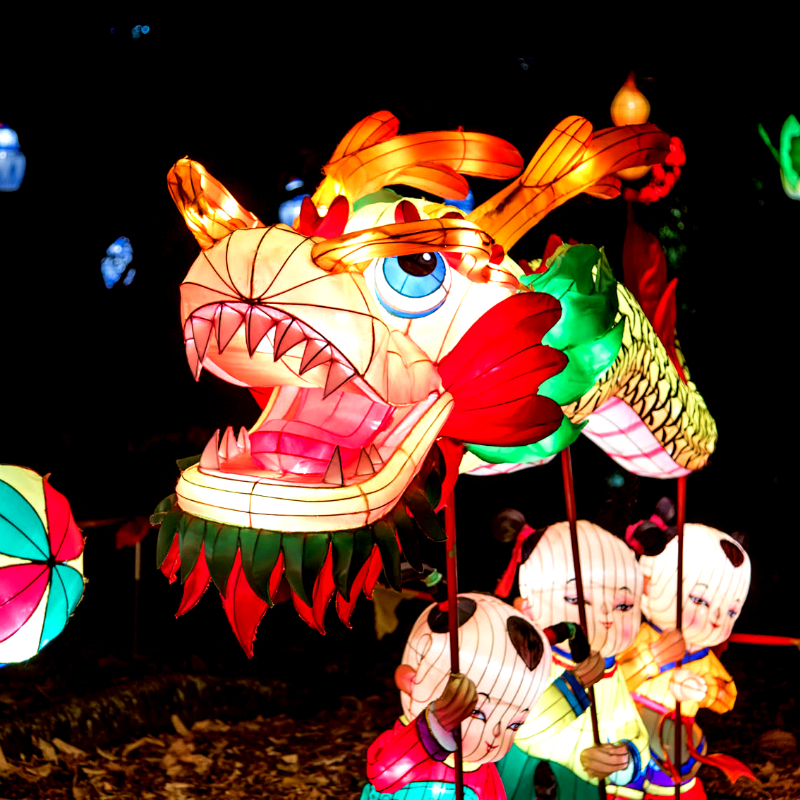 Chinese Lantern Festival 2024 Auckland Faun Rosaleen